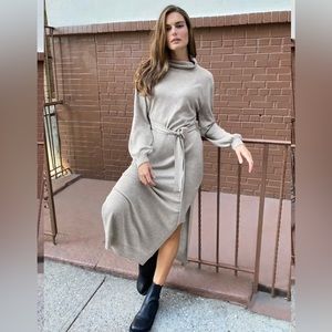 Aritiza Babaton Ono Dress - L